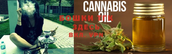 ПСИЛОЦИБИНОВЫЕ ГРИБЫ Алексин