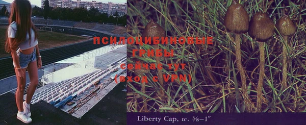 ПСИЛОЦИБИНОВЫЕ ГРИБЫ Алексин