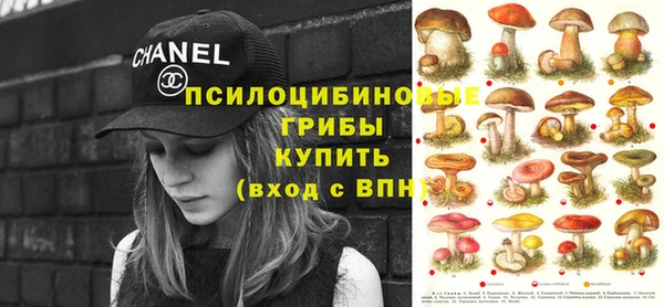 ПСИЛОЦИБИНОВЫЕ ГРИБЫ Алексин