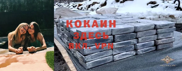 ПСИЛОЦИБИНОВЫЕ ГРИБЫ Алексин
