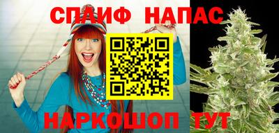 гашик Братск