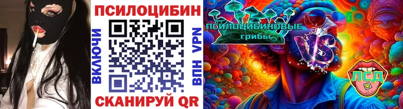 Псилоцибиновые грибы MAGIC MUSHROOMS  blacksprut как зайти  Борзя  закладка 