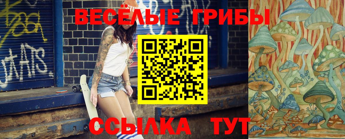 Псилоцибиновые грибы GOLDEN TEACHER Борзя